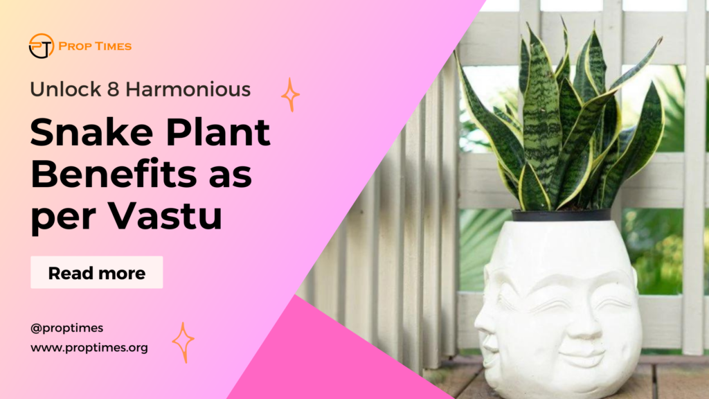 snake plant benefit as per vastu