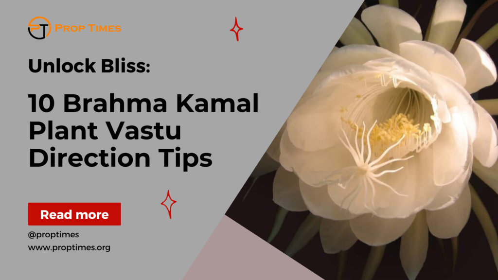 10 Brahma Kamal Plant Vastu Direction Tips