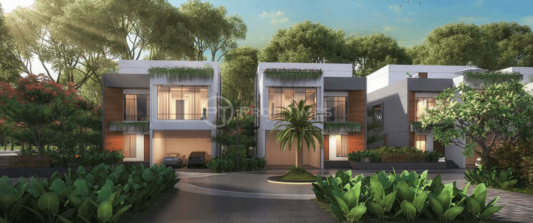 Paranjape Misty Greens